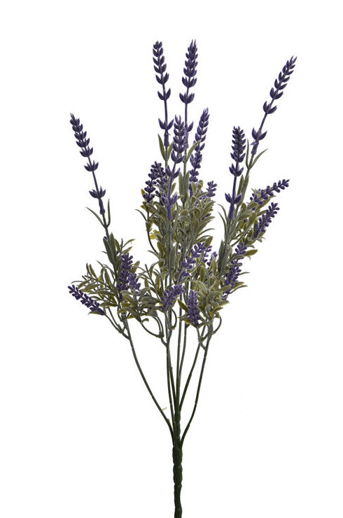 POMO LAVANDA. COLOR:VERDE/LILA REF.:50060063/LAV PRECIO:2,25 € POMO LAVANDA. COLOR:VERDE/LILA REF.:50060063/LAV PRECIO:2,25 €
