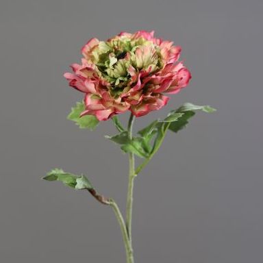 VARA RANUNCULO. COLOR:ROSA REF.:43404-17 PRECIO: 2,40 € VARA RANUNCULO. COLOR:ROSA REF.:43404-17 PRECIO: 2,40 €