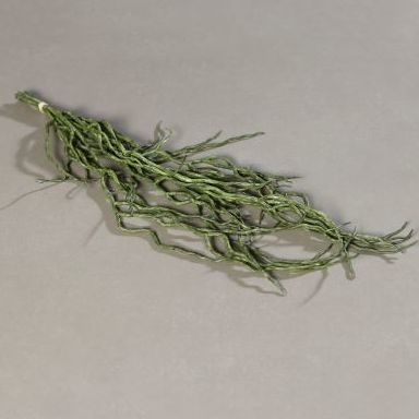 VARA RAÍCES ORQUIDEA (48CM) COLOR:VERDE REF.:60430 PRECIO: 2,95 € VARA RAÍCES ORQUIDEA (48CM) COLOR:VERDE REF.:60430 PRECIO: 2,95 €