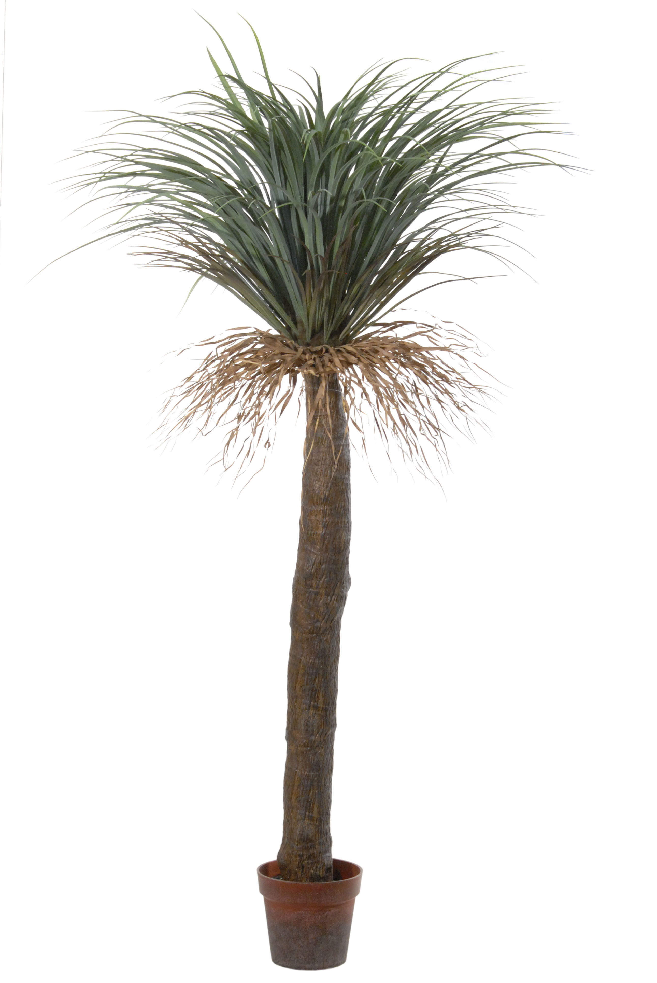 PLANTA DE YUCCA C/MACETA (185CM)/ VERDE REF: 40149.185 PRECIO: 190,00€ PLANTA DE YUCCA C/MACETA (185CM)/ VERDE REF: 40149.185 PRECIO: 190,00€