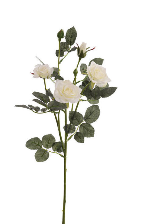 VARA ROSA x6 (71CM)/ CREMA REF: 40010046/CR PRECIO: 2,50€ VARA ROSA x6 (71CM)/ CREMA REF: 40010046/CR PRECIO: 2,50€