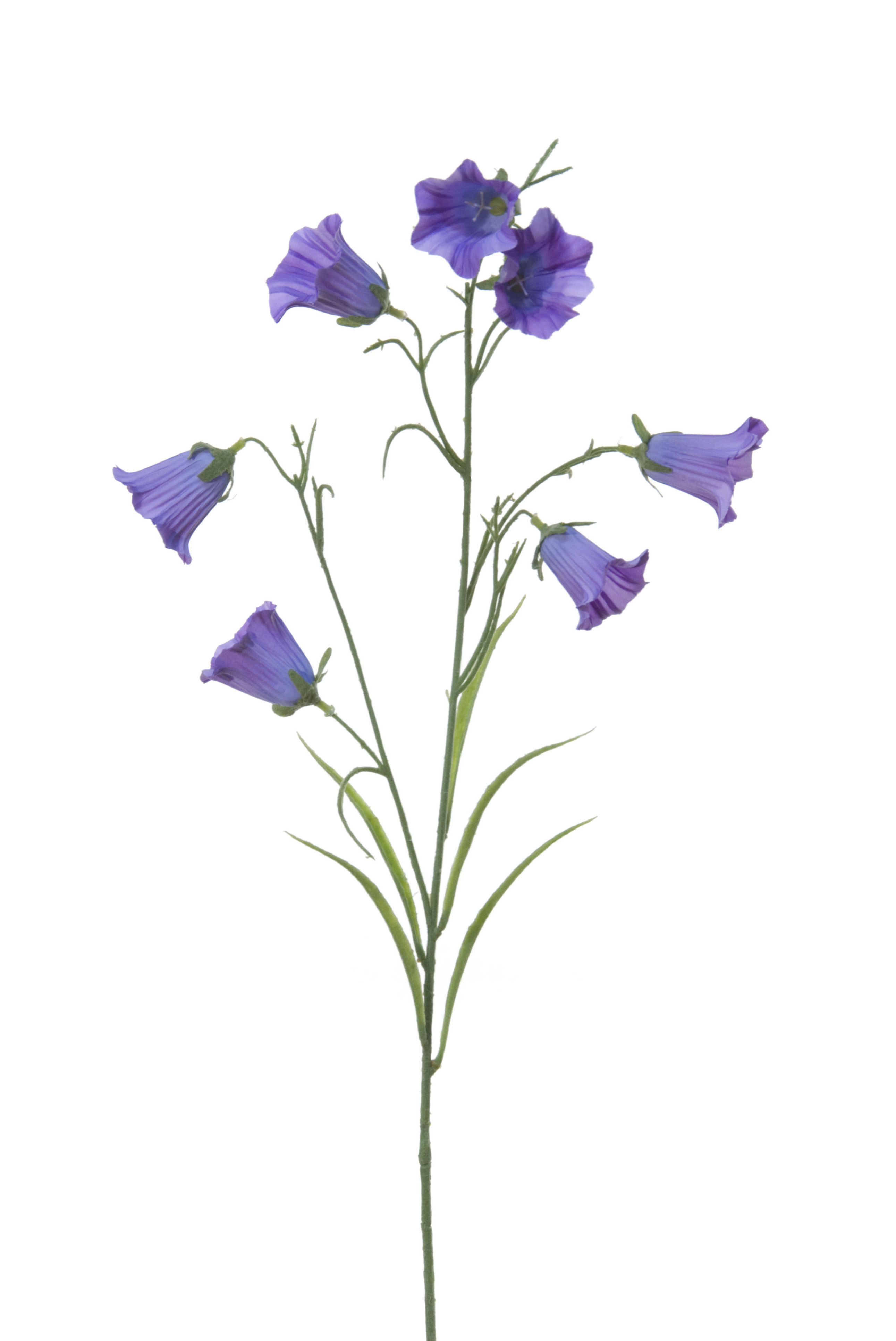 VARA DE CAMPANILLA (78CM)/ MALVA REF: 07112.628 PRECIO: 2,00€ VARA DE CAMPANILLA (78CM)/ MALVA REF: 07112.628 PRECIO: 2,00€