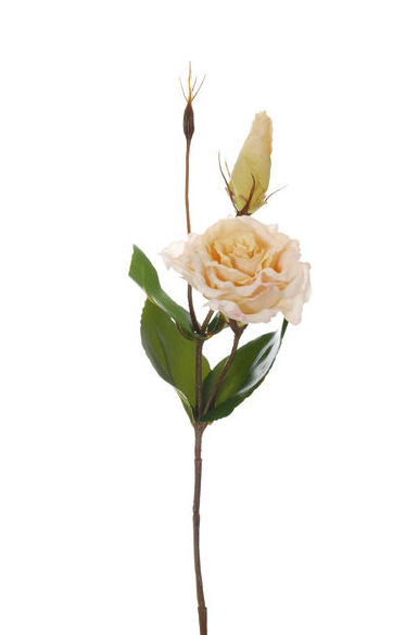 VARA LISIANTHUS + HOJA TACTO NAT (40CM). COLOR:CREMA REF.:41639/CR PRECIO:1,50 € VARA LISIANTHUS + HOJA TACTO NAT (40CM). COLOR:CREMA REF.:41639/CR PRECIO:1,50 €
