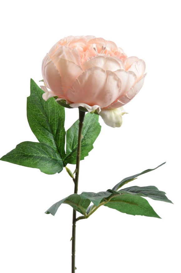 VARA DE PEONIA (45CM)/ ROSA CLARO REF: 40130004/LTPI PRECIO: 1,30€ VARA DE PEONIA (45CM)/ ROSA CLARO REF: 40130004/LTPI PRECIO: 1,30€