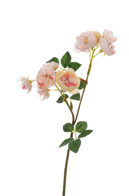 PICK MINI ROSA X2 (29CM).COLOR:ROSA REF.:41775/PI PRECIO:1,70 € PICK MINI ROSA X2 (29CM).COLOR:ROSA REF.:41775/PI PRECIO:1,70 €