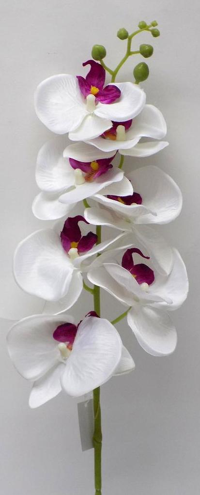 VARA ORQUIDEA PHALENOPSIS. COLOR:BLANCO/ROSA REF.:40009 BLANCO ROSA PRECIO: 2,50 € VARA ORQUIDEA PHALENOPSIS. COLOR:BLANCO/ROSA REF.:40009 BLANCO ROSA PRECIO: 2,50 €