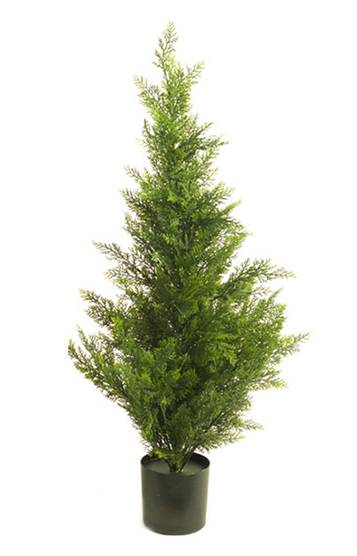 CIPRES CEDAR 90 CM. COLORES:VERDE CLARO/VERDE OSCURO REF:470386 PRECIO:35,50 € CIPRES CEDAR 90 CM. COLORES:VERDE CLARO/VERDE OSCURO REF:470386 PRECIO:35,50 €