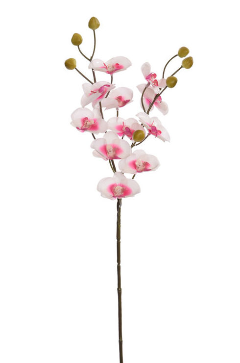 VARA MINI ORQUIDEA X3 (58CM)/ CREMA-ROSA REF: 40010077/CRPI PRECIO: 2,20€ VARA MINI ORQUIDEA X3 (58CM)/ CREMA-ROSA REF: 40010077/CRPI PRECIO: 2,20€