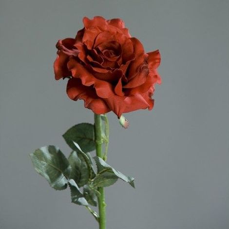 VARA ROSA ABIERTA (REAL TOUCH). COLOR: ROJA REF.:1967 PRECIO: 2,75 € VARA ROSA ABIERTA (REAL TOUCH). COLOR: ROJA REF.:1967 PRECIO: 2,75 €