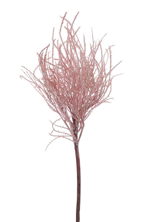 PICK GRASS (35CM).COLOR: ROSA REF.:12020117/PI PRECIO: 1,55 € PICK GRASS (35CM).COLOR: ROSA REF.:12020117/PI PRECIO: 1,55 €