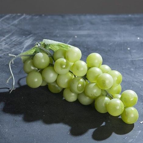 Frutas : CATÁLOGO de Fernando Gallego, S.C.P. Frutas : CATÁLOGO de Fernando Gallego, S.C.P.