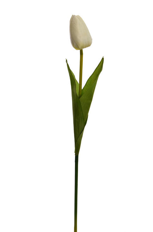 PQTE.12 UNID.VARA TULIPAN. COLOR:BLANCO REF.:30060034/CR PRECIO:0,70 € C/U PQTE.12 UNID.VARA TULIPAN. COLOR:BLANCO REF.:30060034/CR PRECIO:0,70 € C/U