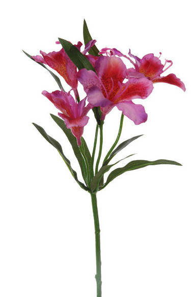 PICK (35CM) ASTROMERIA. COLOR:LAVENDER REF.:41325/LAV PRECIO:2,10 € PICK (35CM) ASTROMERIA. COLOR:LAVENDER REF.:41325/LAV PRECIO:2,10 €
