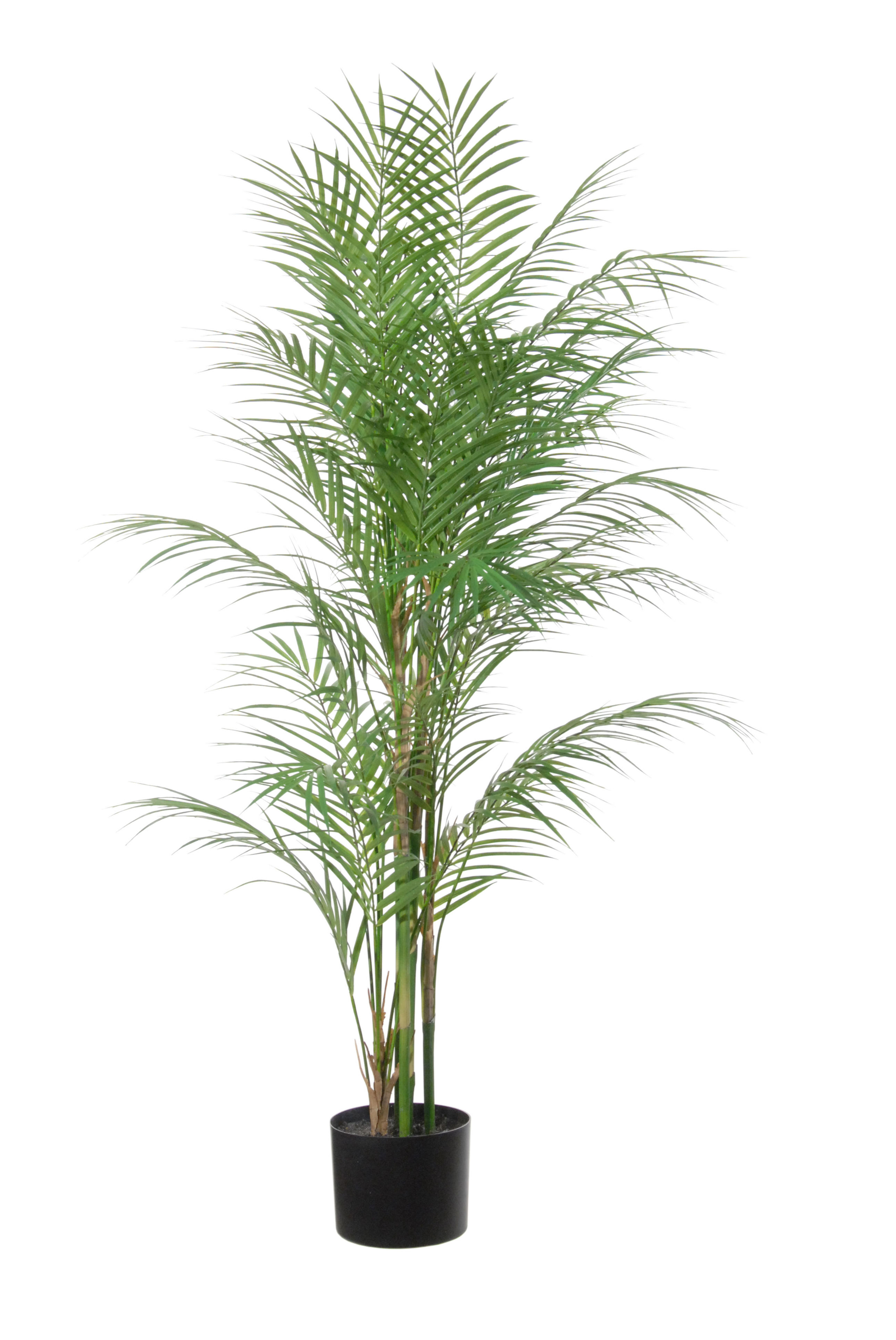 PLANTA DE ARECA C/MACETA (90CM)/ VERDE REF: 17050.090 PRECIO: 77,30€ PLANTA DE ARECA C/MACETA (90CM)/ VERDE REF: 17050.090 PRECIO: 77,30€