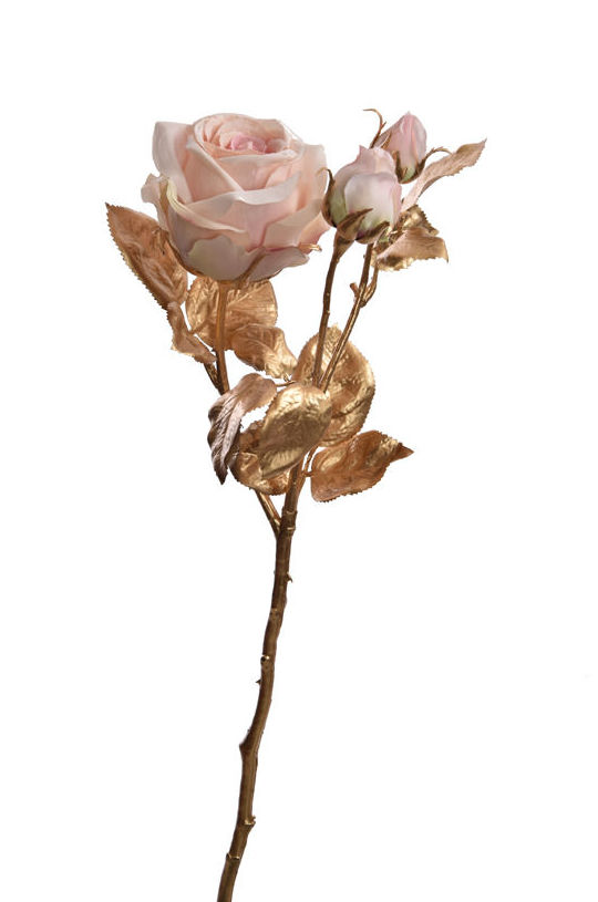 VARA ROSA LINEA ORO 49CM (ROSA) REF:90020151/PI PRECIO:3,15 € VARA ROSA LINEA ORO 49CM (ROSA) REF:90020151/PI PRECIO:3,15 €
