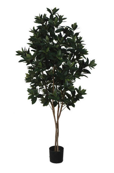 SWEET LINK TREE (1,50 M.) COLOR: VERDE REF.:70552 GR PRECIO: 135,00 € SWEET LINK TREE (1,50 M.) COLOR: VERDE REF.:70552 GR PRECIO: 135,00 €