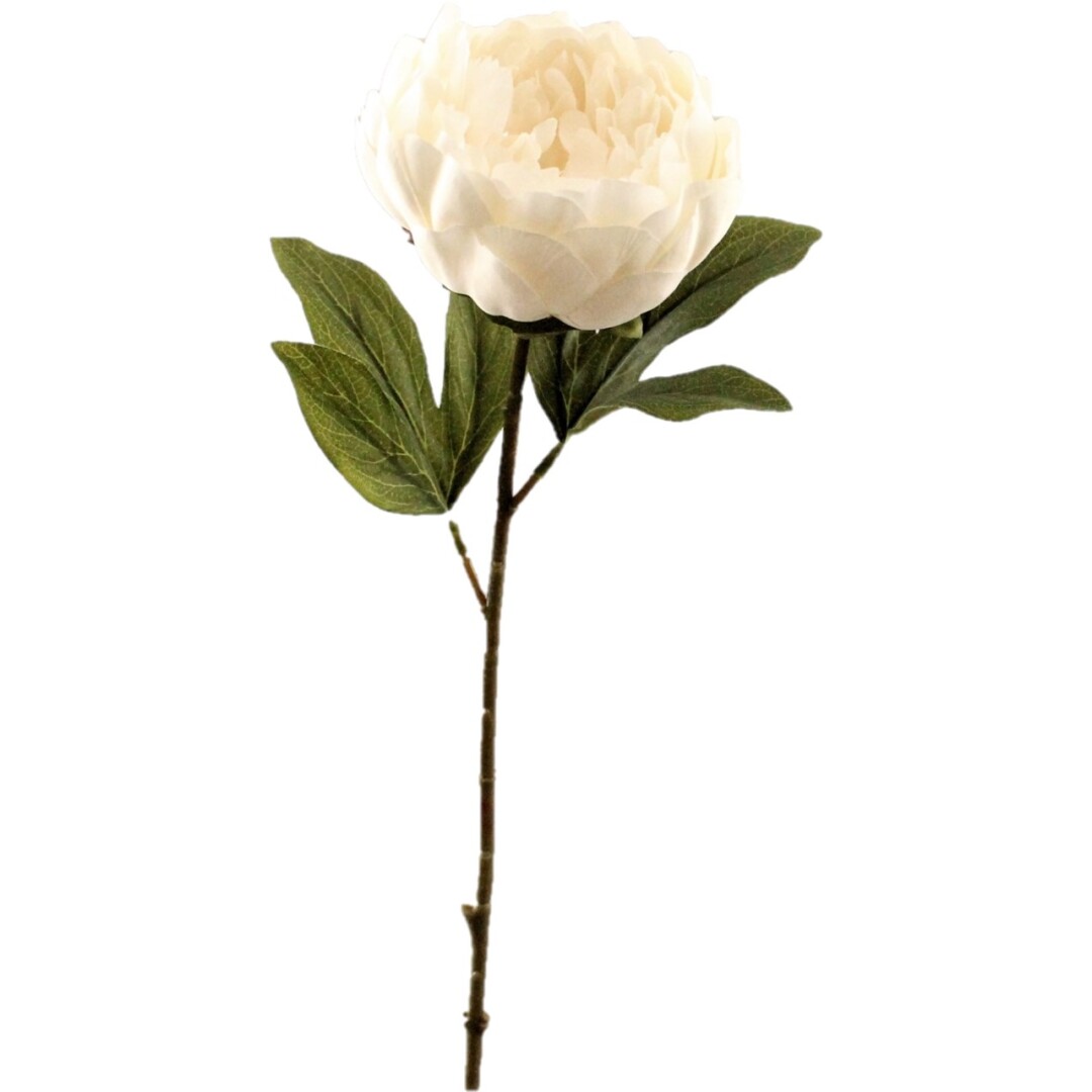 VARA PEONIA OTOÑAL BLANCO REF: 7045_BLA PRECIO: 1,95€ VARA PEONIA OTOÑAL BLANCO REF: 7045_BLA PRECIO: 1,95€