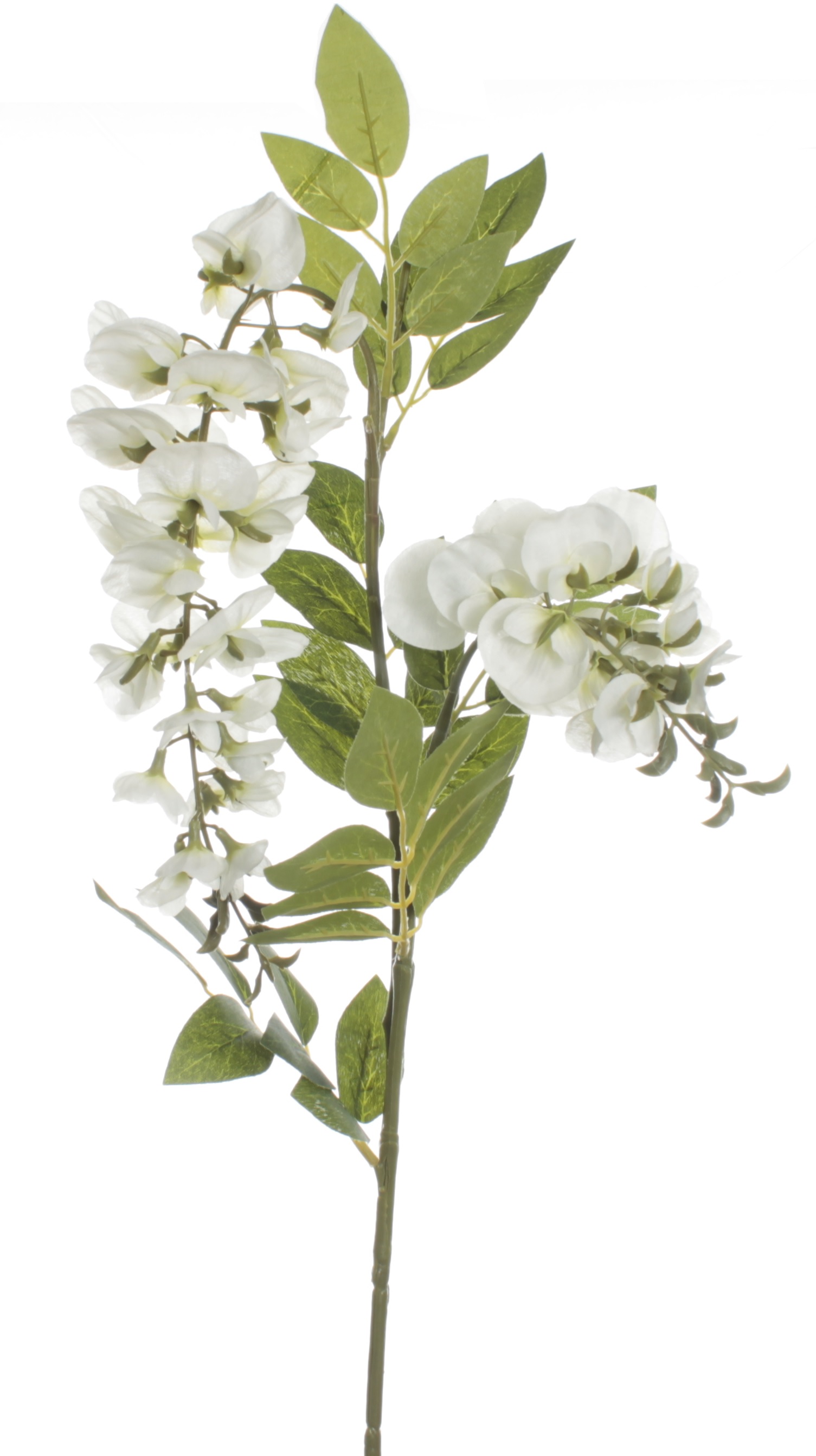 VARA WISTERIAX2 (100CM)/ BLANCO REF: 7163_BLA PRECIO: 3,05€ VARA WISTERIAX2 (100CM)/ BLANCO REF: 7163_BLA PRECIO: 3,05€