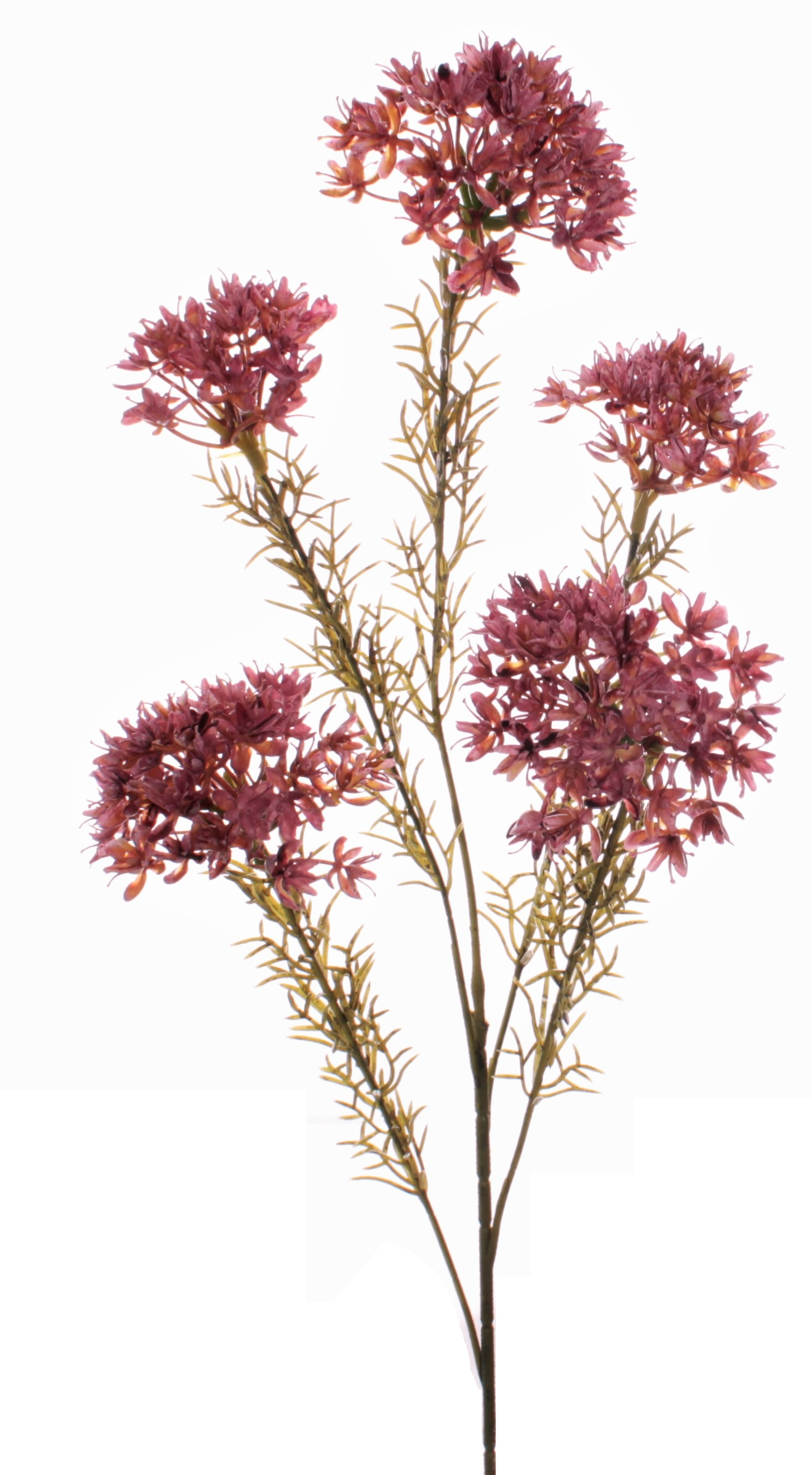 VARA ALLIUM PLÁSTICO (60CM)/ FUCSIA REF: 7166_FUX PRECIO: 195€ VARA ALLIUM PLÁSTICO (60CM)/ FUCSIA REF: 7166_FUX PRECIO: 195€