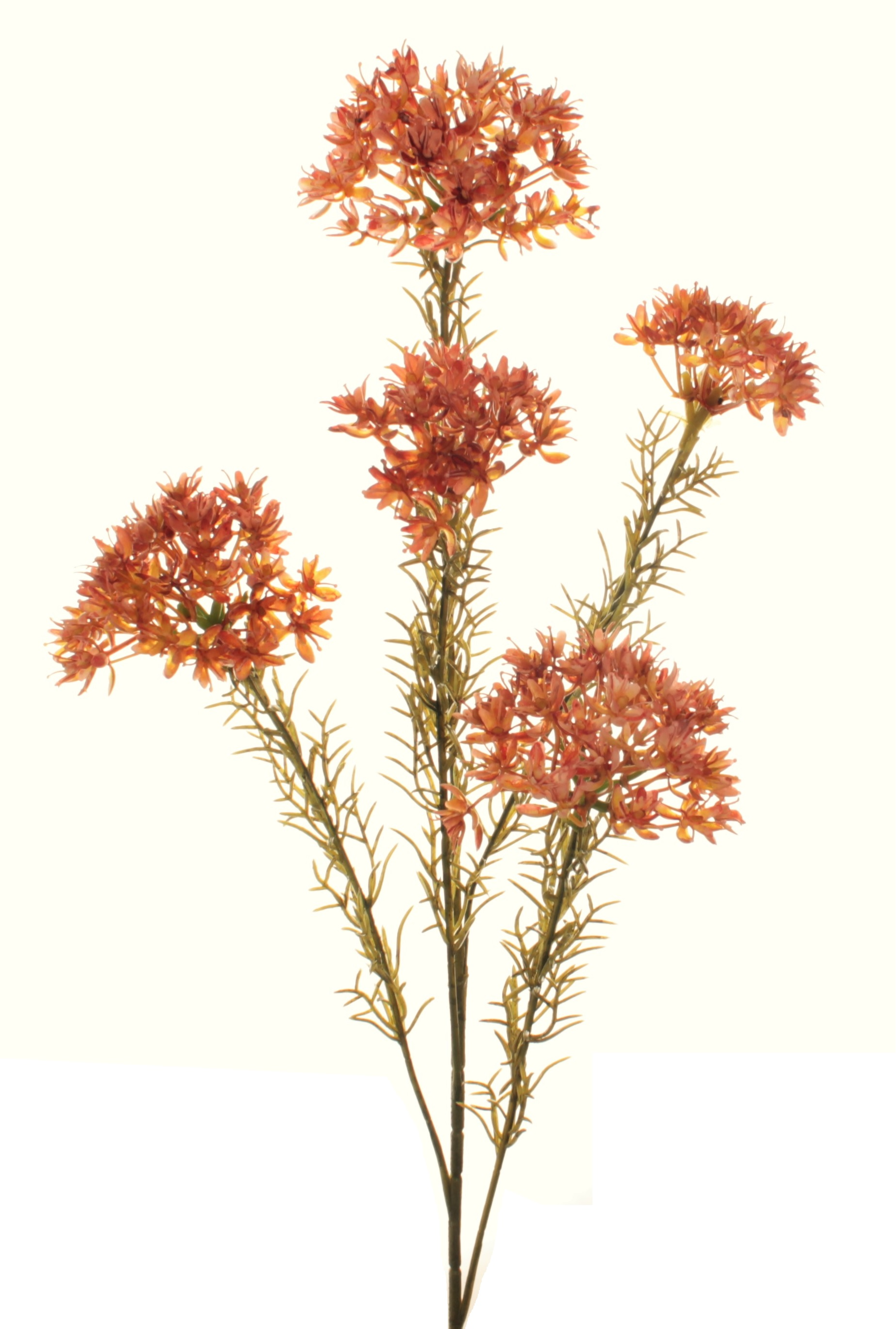 VARA ALLIUM PLÁSTICO (60CM)/ NARANJA REF: 7166_NAR PRECIO: 1,95€ VARA ALLIUM PLÁSTICO (60CM)/ NARANJA REF: 7166_NAR PRECIO: 1,95€