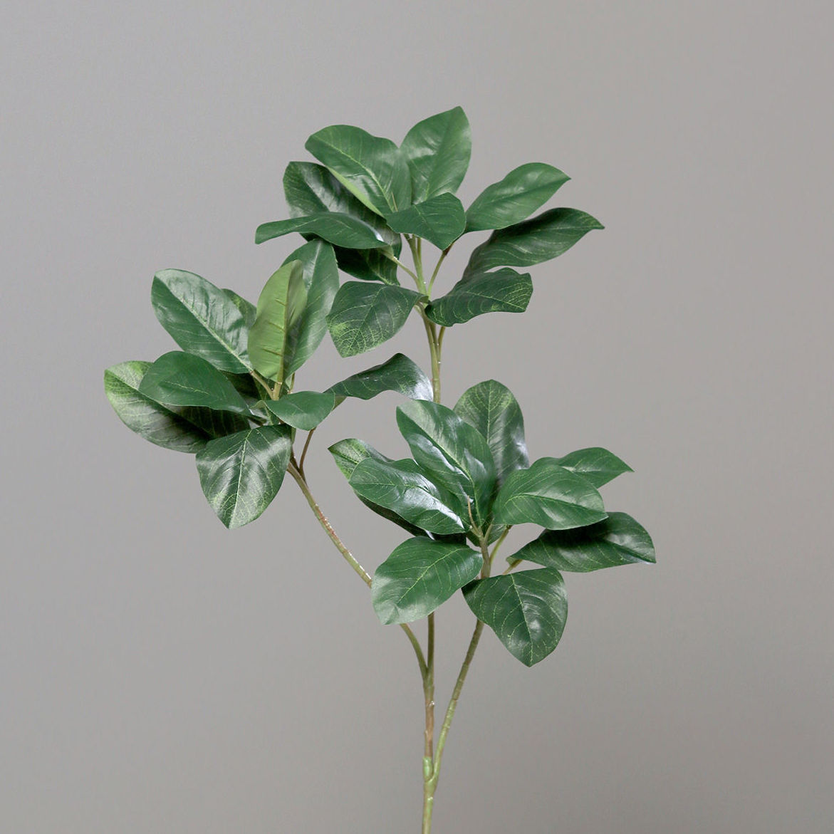 VARA ARBOL DE CAUCHO (115CM) REF: 55013 PRECIO: 13,10€ VARA ARBOL DE CAUCHO (115CM) REF: 55013 PRECIO: 13,10€