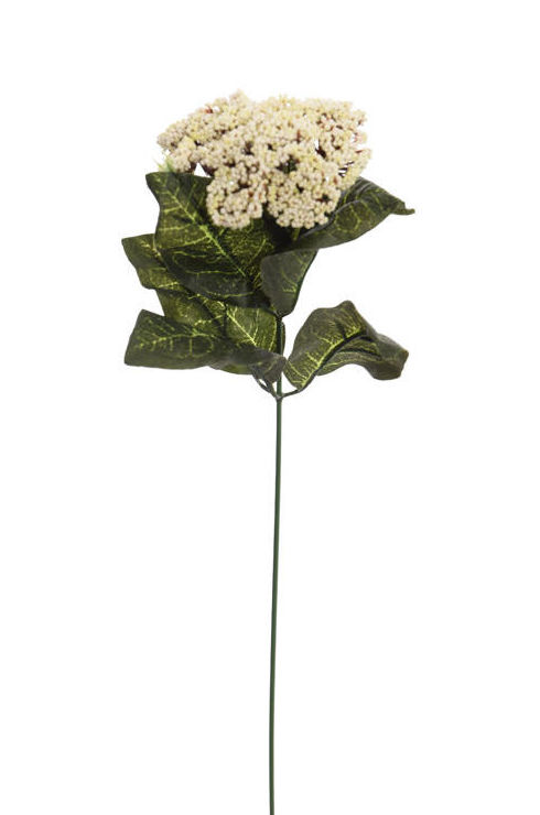 VARA REINA ANA x6 (37CM)/ CREMA REF: 11010009/CR PRECIO: 0,50€/UD VARA REINA ANA x6 (37CM)/ CREMA REF: 11010009/CR PRECIO: 0,50€/UD