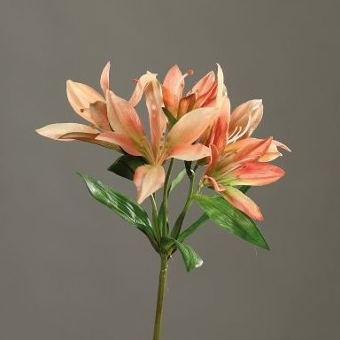 VARA LILIUM. COLOR:SALMÓN REF.:43456-08 PRECIO: 3,00 € VARA LILIUM. COLOR:SALMÓN REF.:43456-08 PRECIO: 3,00 €