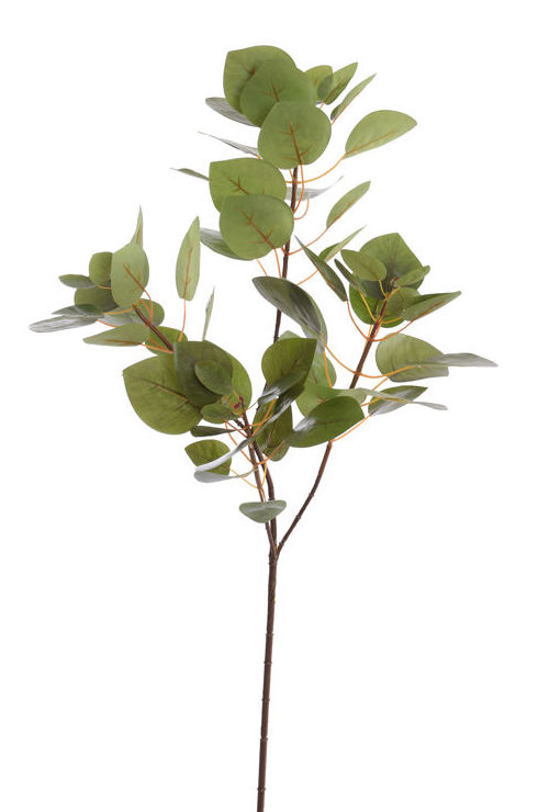 VARA HOJAS COTINUS (100CM) COLOR:VERDE REF.: 12010257/GR PRECIO: 5,50 € VARA HOJAS COTINUS (100CM) COLOR:VERDE REF.: 12010257/GR PRECIO: 5,50 €