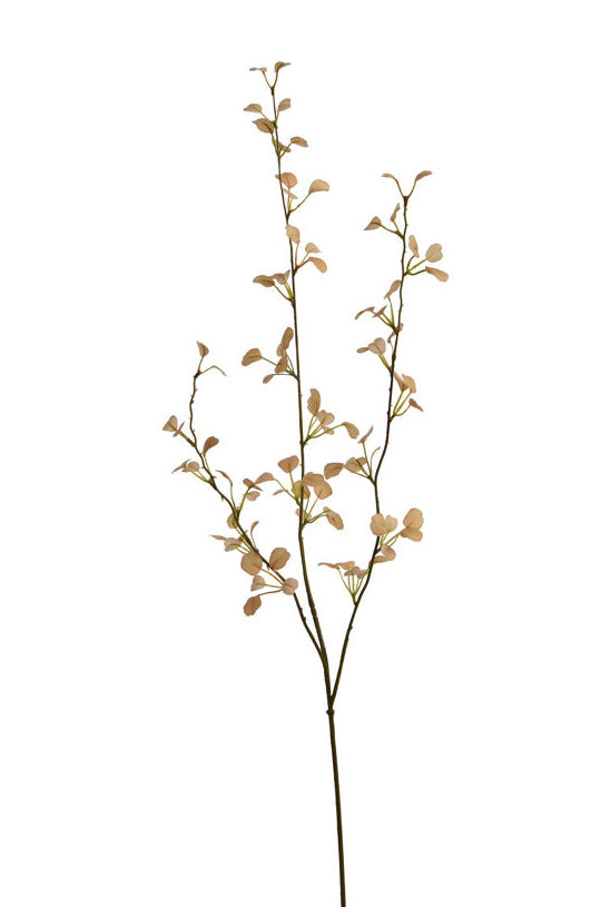 VARA HOJA DE CRASSULA 85CM (MARRON CLARO) REF.:12020453/LTBR PRECIO:2,60 € VARA HOJA DE CRASSULA 85CM (MARRON CLARO) REF.:12020453/LTBR PRECIO:2,60 €