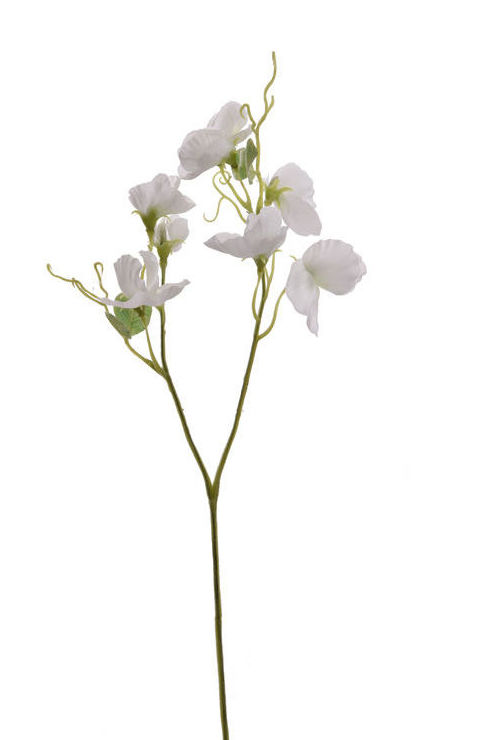 PICK FLOR DEL GUISANTE x2 (45CM)/ CREMA REF: 40010194/CR PRECIO: 1,60€ PICK FLOR DEL GUISANTE x2 (45CM)/ CREMA REF: 40010194/CR PRECIO: 1,60€