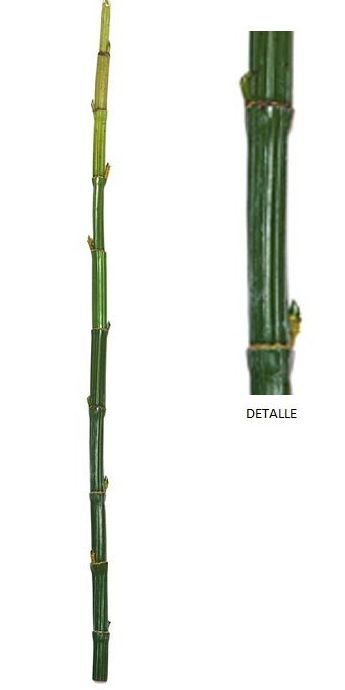 CAÑA BAMBU ARTIFICIAL (D.3xH.140CM)/VERDE REF: 109134-180.10 PRECIO: 9,85€ CAÑA BAMBU ARTIFICIAL (D.3xH.140CM)/VERDE REF: 109134-180.10 PRECIO: 9,85€