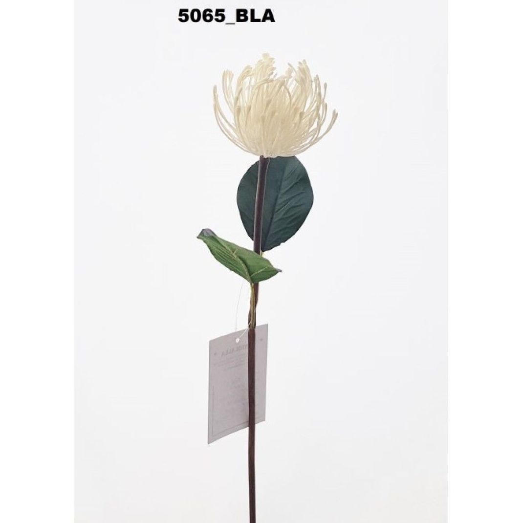 VARA CORDIFOLIUM. COLOR: BLANCO. REF.:5065 BLA. PRECIO: 1,20 € VARA CORDIFOLIUM. COLOR: BLANCO. REF.:5065 BLA. PRECIO: 1,20 €