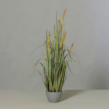 PLANTA DE RIO OTOÑAL (96CM) COLOR:VERDE REF.: 57045-01 PRECIO: 23,75 € PLANTA DE RIO OTOÑAL (96CM) COLOR:VERDE REF.: 57045-01 PRECIO: 23,75 €