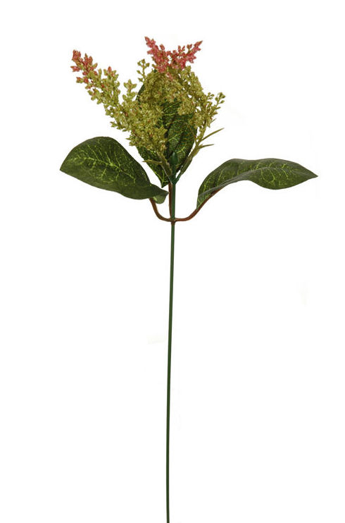 PQTE. 12 UNID. PICK ASTILBE 38CM (VERDE-ROJO) REF.:11226/GRRE PRECIO:0,30 € C/U PQTE. 12 UNID. PICK ASTILBE 38CM (VERDE-ROJO) REF.:11226/GRRE PRECIO:0,30 € C/U
