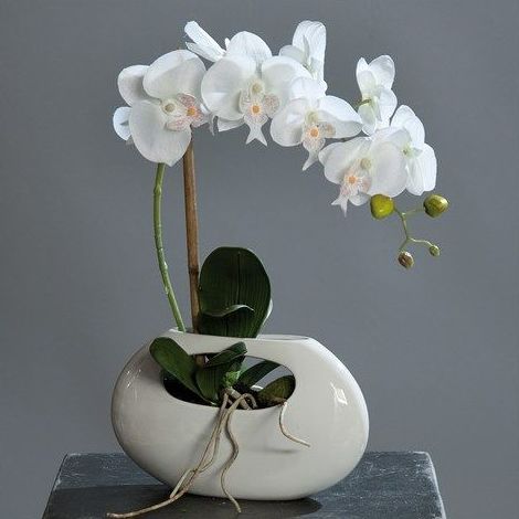ORQUID.TELA/BASE PORCEL OVAL AGUJERO(43CM) CLORES:BLANCA/BURDEOS/ROSA REF.:60169 PRECIO:20,75 € ORQUID.TELA/BASE PORCEL OVAL AGUJERO(43CM) CLORES:BLANCA/BURDEOS/ROSA REF.:60169 PRECIO:20,75 €