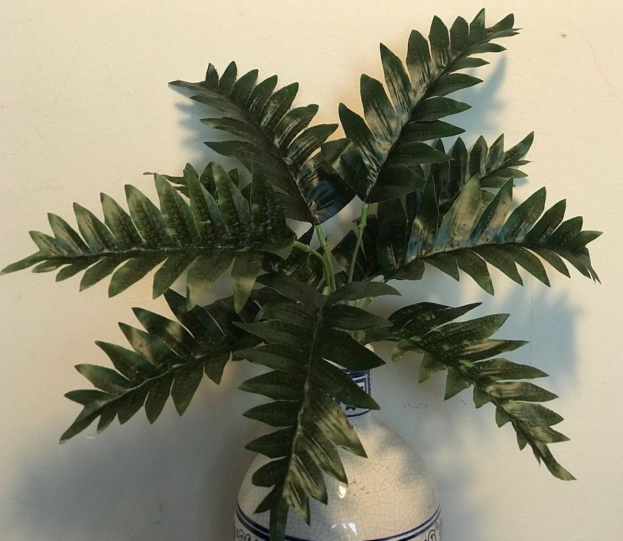 PLANTITA X9 HOJAS HELECHO TACTO NAT.(H40 D40CM)/ 4 TIPOS DE HOJA REF: AM-133.1 PRECIO: 2,95€ PLANTITA X9 HOJAS HELECHO TACTO NAT.(H40 D40CM)/ 4 TIPOS DE HOJA REF: AM-133.1 PRECIO: 2,95€