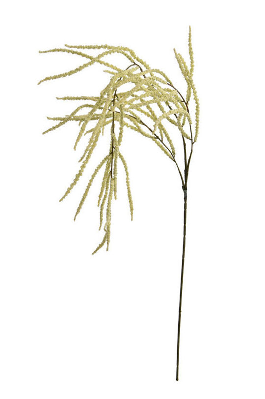 VARA AMARANTHUS (100CM)/ CREMA REF: 12010448/CR PRECIO: 3,75€ VARA AMARANTHUS (100CM)/ CREMA REF: 12010448/CR PRECIO: 3,75€