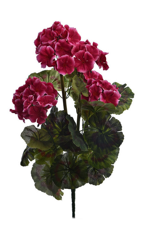 MATA GERANIO X9. COLOR:FUCSIA REF.:60050020/BE PRECIO:4,75 € MATA GERANIO X9. COLOR:FUCSIA REF.:60050020/BE PRECIO:4,75 €