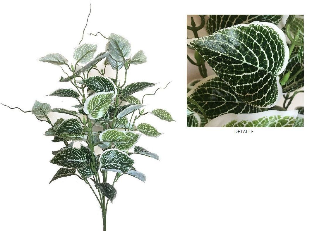 MATA DE FITONIA DE TACTO NATURAL(54cm)/ VERDE REF: AM-090 (FITONIA VERDE) PRECIO: 3,90€ MATA DE FITONIA DE TACTO NATURAL(54cm)/ VERDE REF: AM-090 (FITONIA VERDE) PRECIO: 3,90€