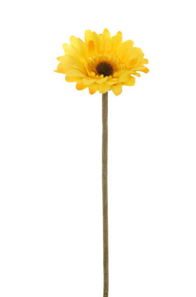 PQTE x12 VARA GERBERA (32CM)/ AMARILLO REF: 30754/YEL PRECIO: 9,60€/PQTE (0,80€/UD) PQTE x12 VARA GERBERA (32CM)/ AMARILLO REF: 30754/YEL PRECIO: 9,60€/PQTE (0,80€/UD)
