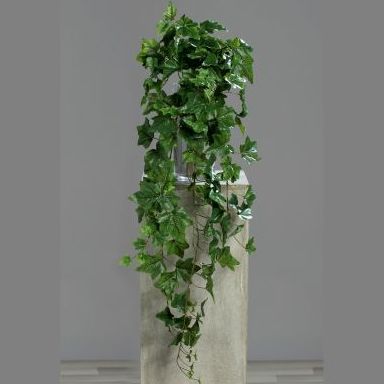 HIEDRA COLGANTE TACTO NATURAL (86CM) COLOR: VERDE REF.:58074 PRECIO: 13,50 € HIEDRA COLGANTE TACTO NATURAL (86CM) COLOR: VERDE REF.:58074 PRECIO: 13,50 €