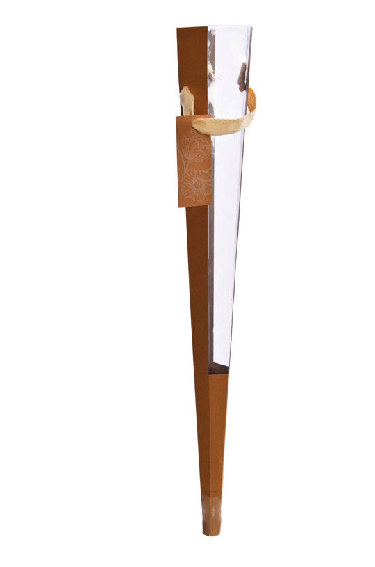 Cucurucho de cartulina+acetato (62,5 cm.) COLOR: Natural REF.:81043 NAT. PRECIO: 1,30 € Cucurucho de cartulina+acetato (62,5 cm.) COLOR: Natural REF.:81043 NAT. PRECIO: 1,30 €