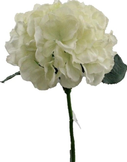 VARA AGUA HORTENSIA TACTO/ COLOR: BLANCO REF: 7079 BLA PRECIO: 2,80€ VARA AGUA HORTENSIA TACTO/ COLOR: BLANCO REF: 7079 BLA PRECIO: 2,80€