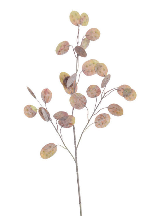 VARA LUNAREA. COLOR:MARRON REF.:12020319/BRGR PRECIO:1,90 € VARA LUNAREA. COLOR:MARRON REF.:12020319/BRGR PRECIO:1,90 €