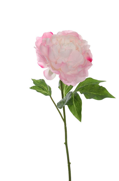 VARA PEONIA. COLOR:ROSA REF.:30920/PI PRECIO:2,75 € VARA PEONIA. COLOR:ROSA REF.:30920/PI PRECIO:2,75 €