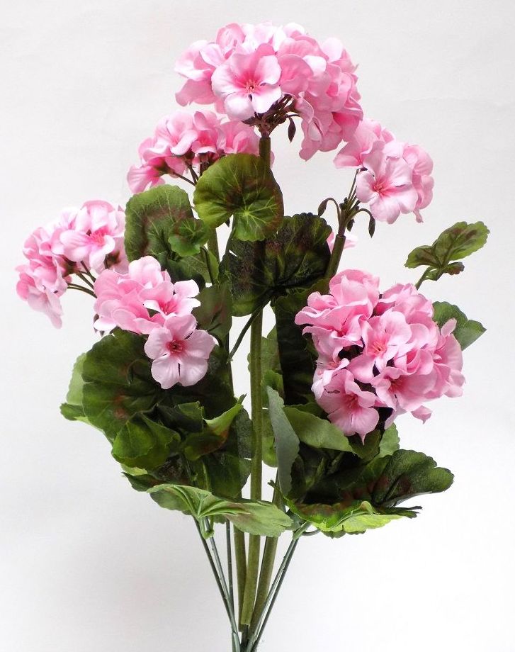 POMO GERANIO (50CM). COLOR:ROSA REF.:40000 RO PRECIO: 4,75 € POMO GERANIO (50CM). COLOR:ROSA REF.:40000 RO PRECIO: 4,75 €