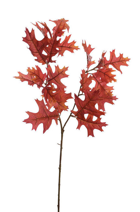 VARA DE ROBLE x2 (80CM)/ ROJO (UV PROOF) REF: 12040033/RE PRECIO: 3,50€ VARA DE ROBLE x2 (80CM)/ ROJO (UV PROOF) REF: 12040033/RE PRECIO: 3,50€