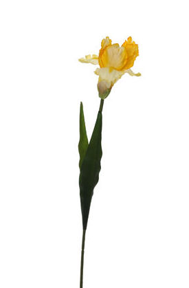 PQTE x12 VARAS DE IRIS (65CM)/ AMARILLO REF: 30672/YEL PRECIO:10,80€ (0,90€/UD) PQTE x12 VARAS DE IRIS (65CM)/ AMARILLO REF: 30672/YEL PRECIO:10,80€ (0,90€/UD)