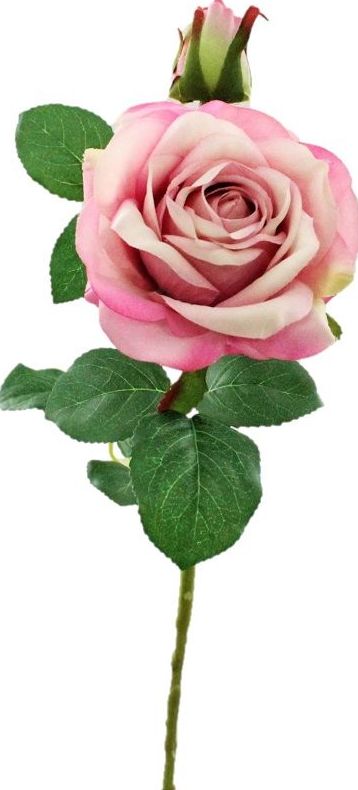 VARA ROSA SOFÍA (45CM)/ LILA REF: 7106_LIL PRECIO: 1,35€ VARA ROSA SOFÍA (45CM)/ LILA REF: 7106_LIL PRECIO: 1,35€