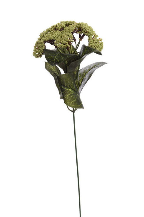 VARA REINA ANA x6 (37CM)/ VERDE REF: 11010009/GR PRECIO: 0,50€/UD VARA REINA ANA x6 (37CM)/ VERDE REF: 11010009/GR PRECIO: 0,50€/UD